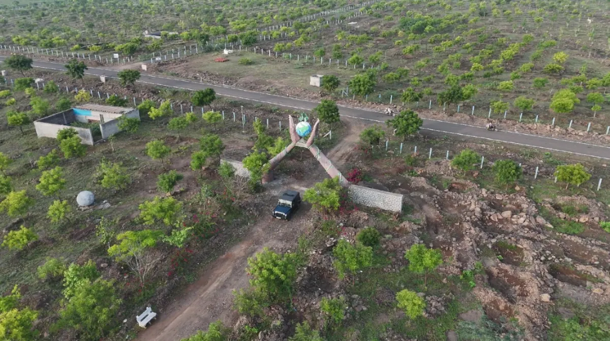 Karad Doddi forest - ground level view of the growing trees